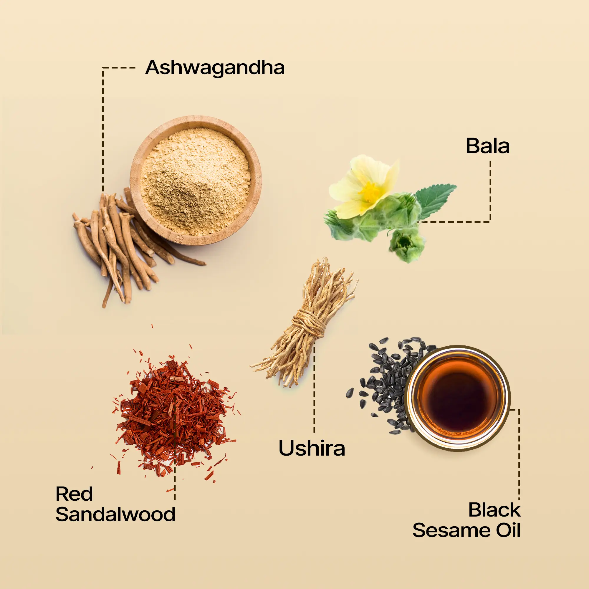 Key ingredients